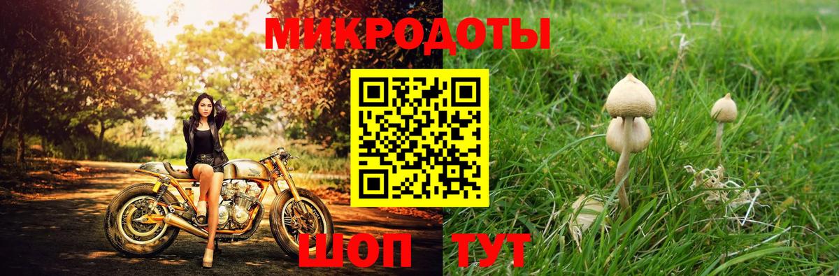 Псилоцибиновые грибы Magic Shrooms Кизляр