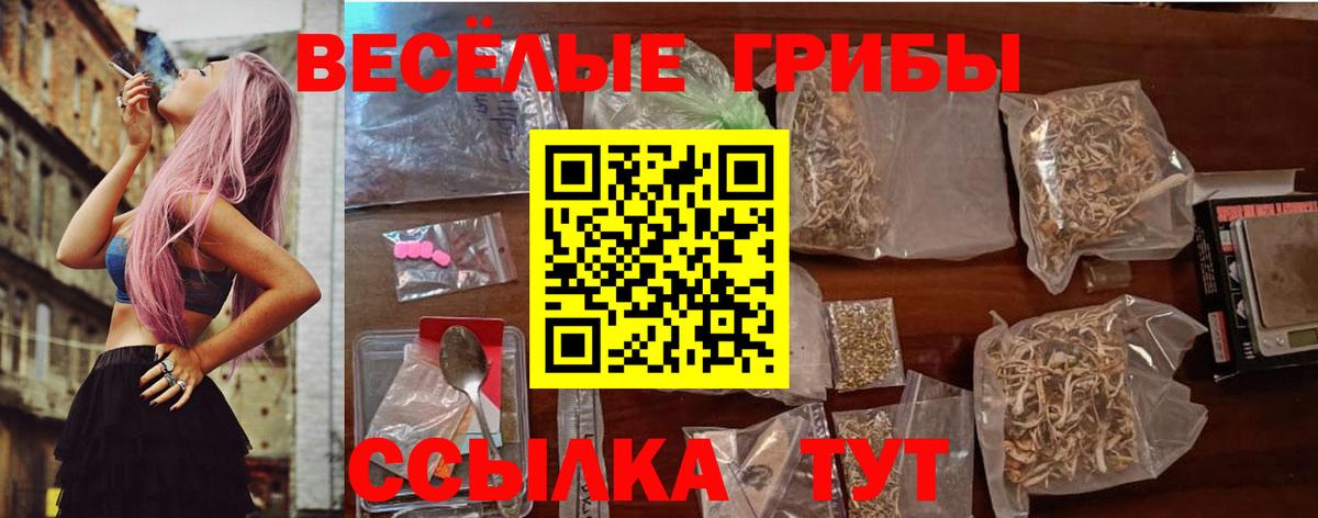 где найти   Псилоцибиновые грибы Cubensis  Вход с VPN  Кизляр 